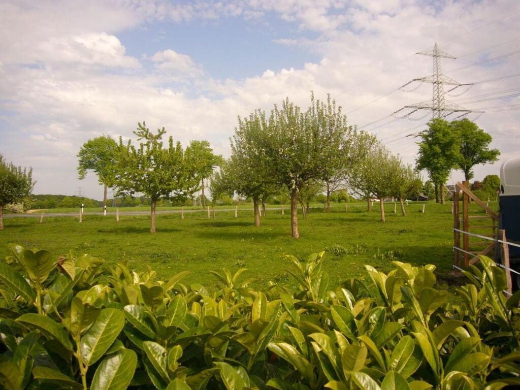 Pleasant In Munster (North Rhine-Westphalia)